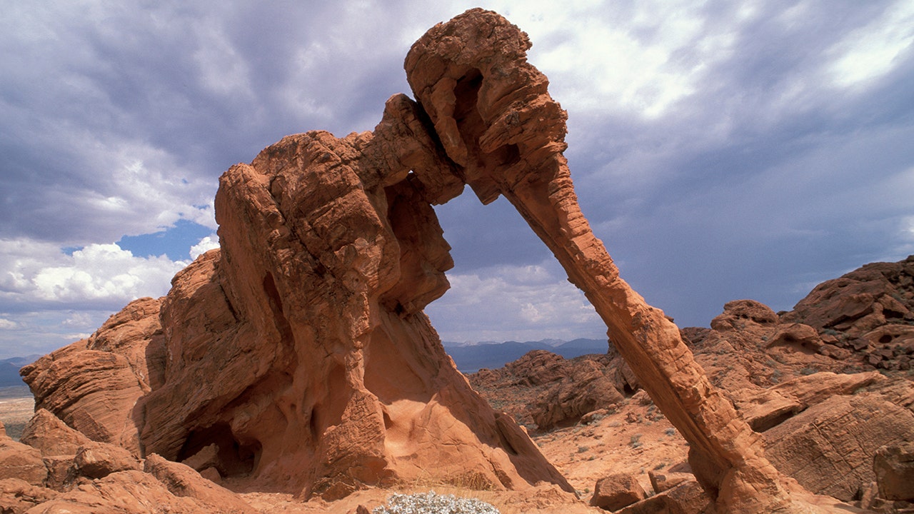 Elephant rock at valley of fire state park