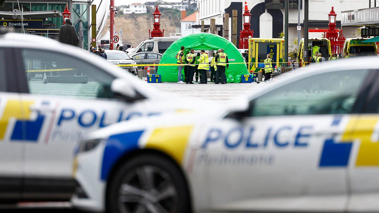 Police scene after Auckland shooting