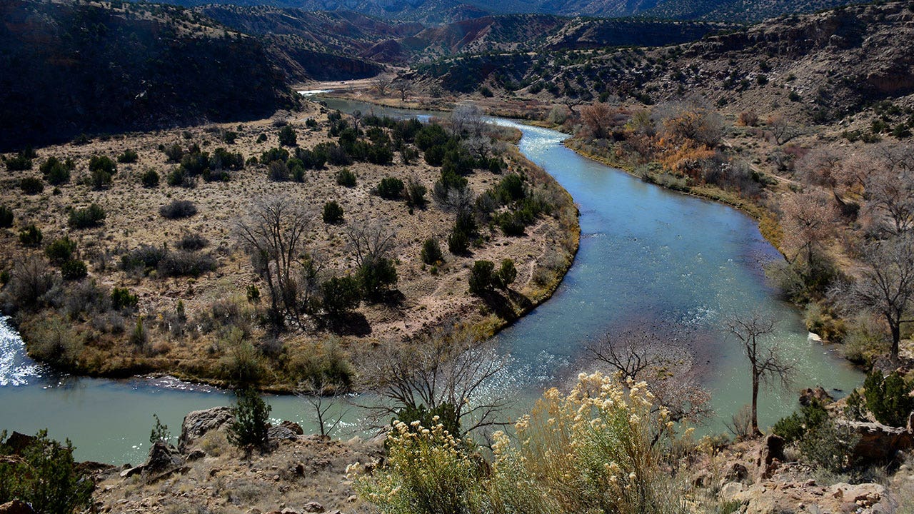 Pesticide spraying near New Mexico river used to kill invasive grasshoppers called off by feds