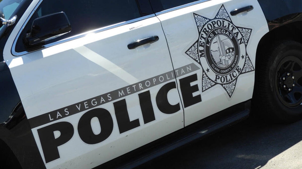 Las Vegas police: Dog left outside dies in extreme heat while owner slept