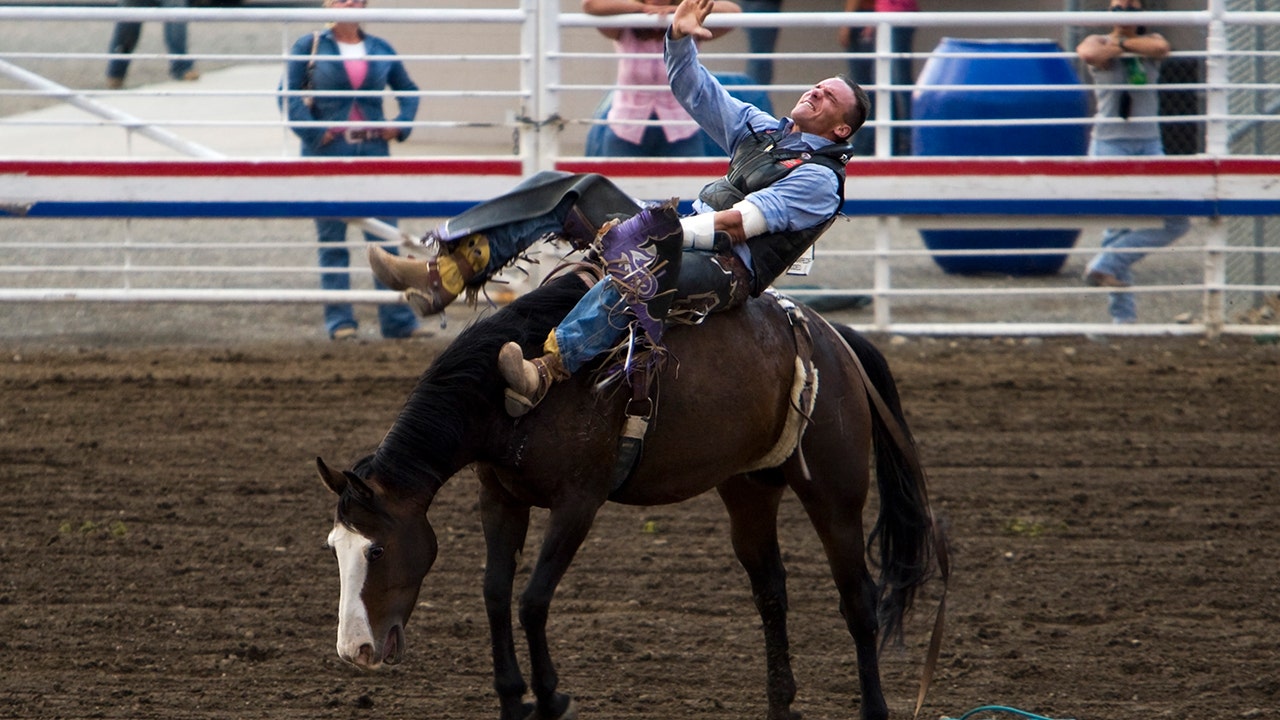 A cowboy at the Cody Nite Rodeo in Wyoming 