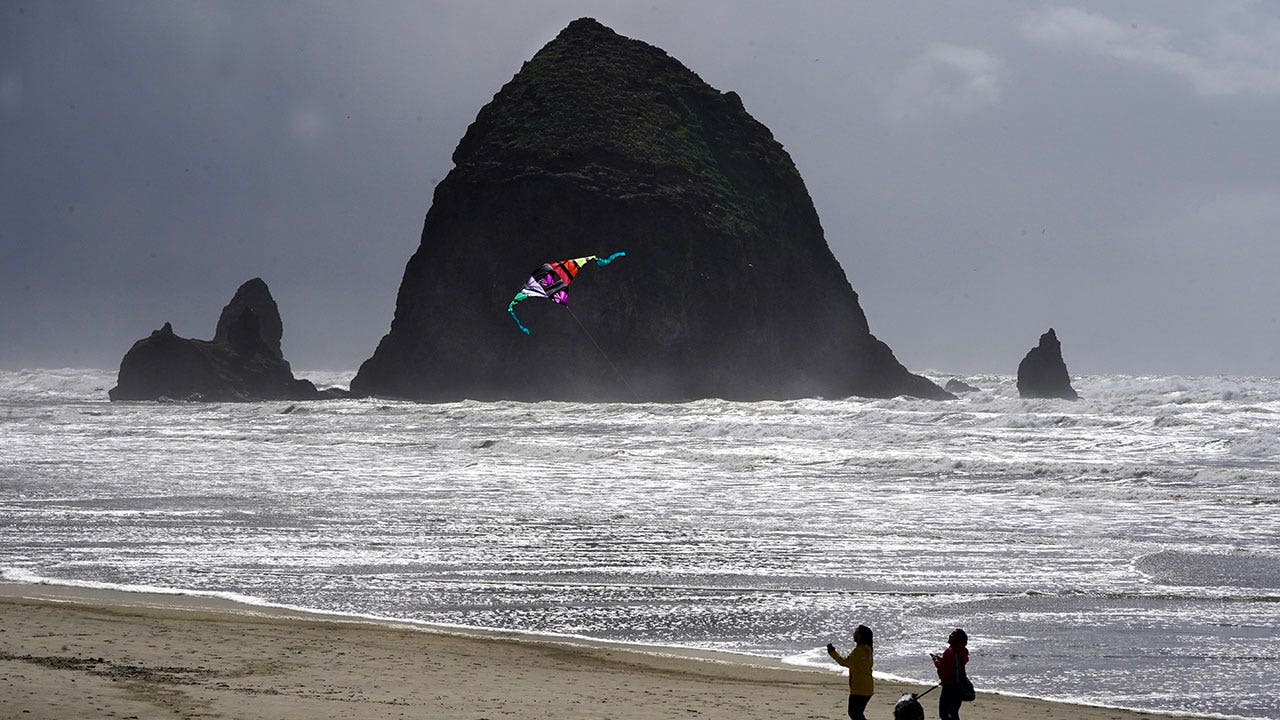 Oregon beach reopens after cougar sighting prompts closure