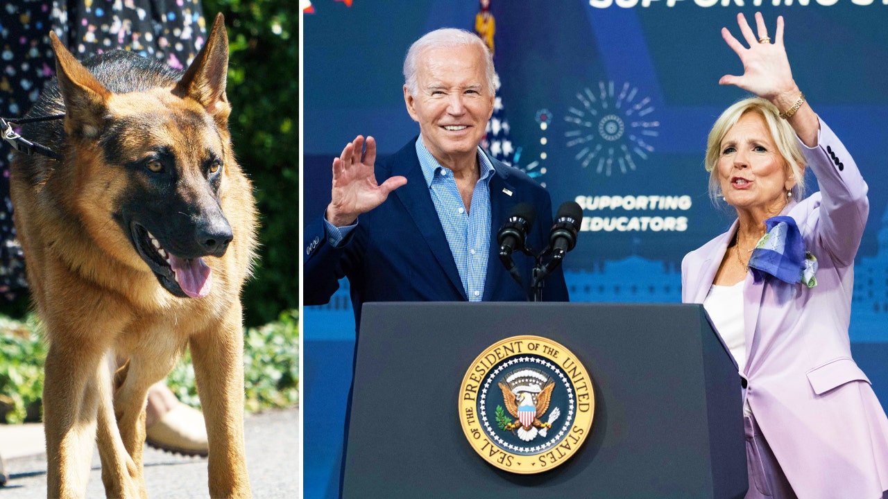 Joe Biden, Jill Biden, Commander dog