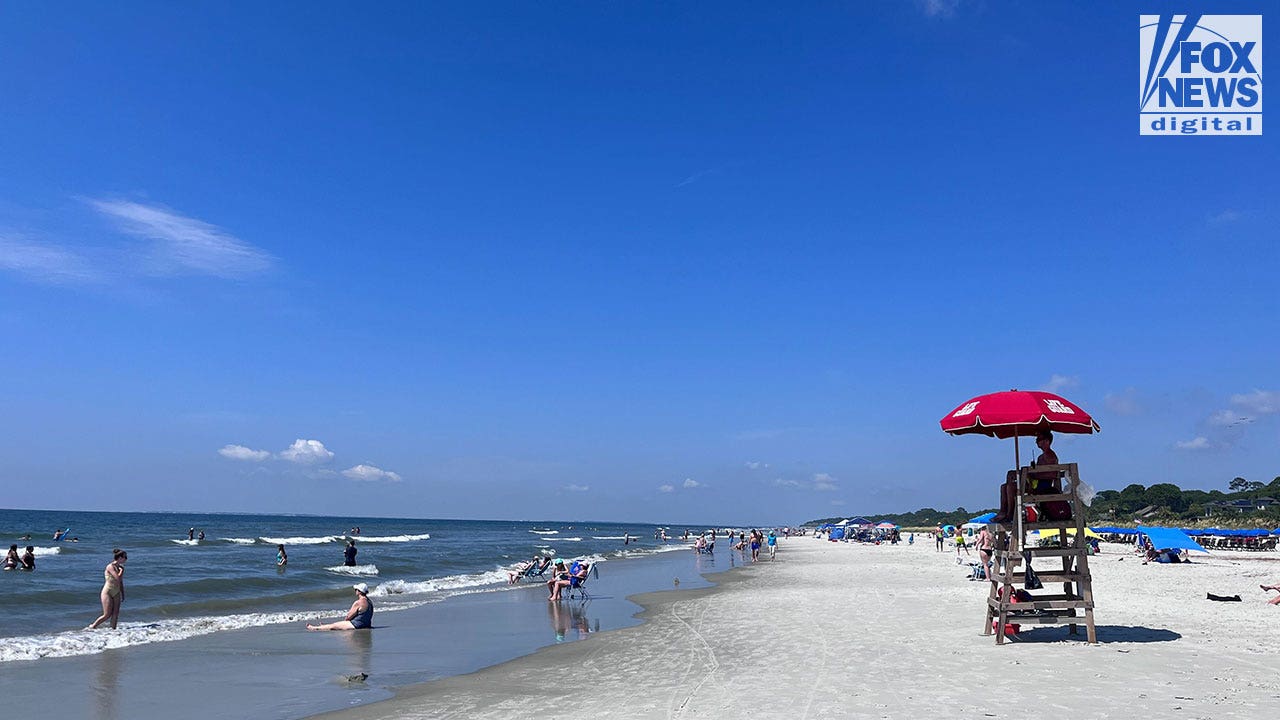 Shark bites man at Hilton Head Island beach in South Carolina