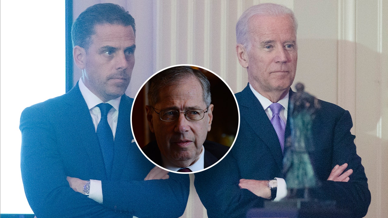 Biden ambassador advised Hunter on helping Romanian tycoon accused of corruption