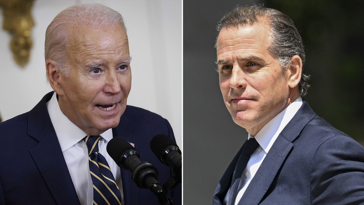 Hunter Biden contradicts dad's claim nobody in family 'made money from China'