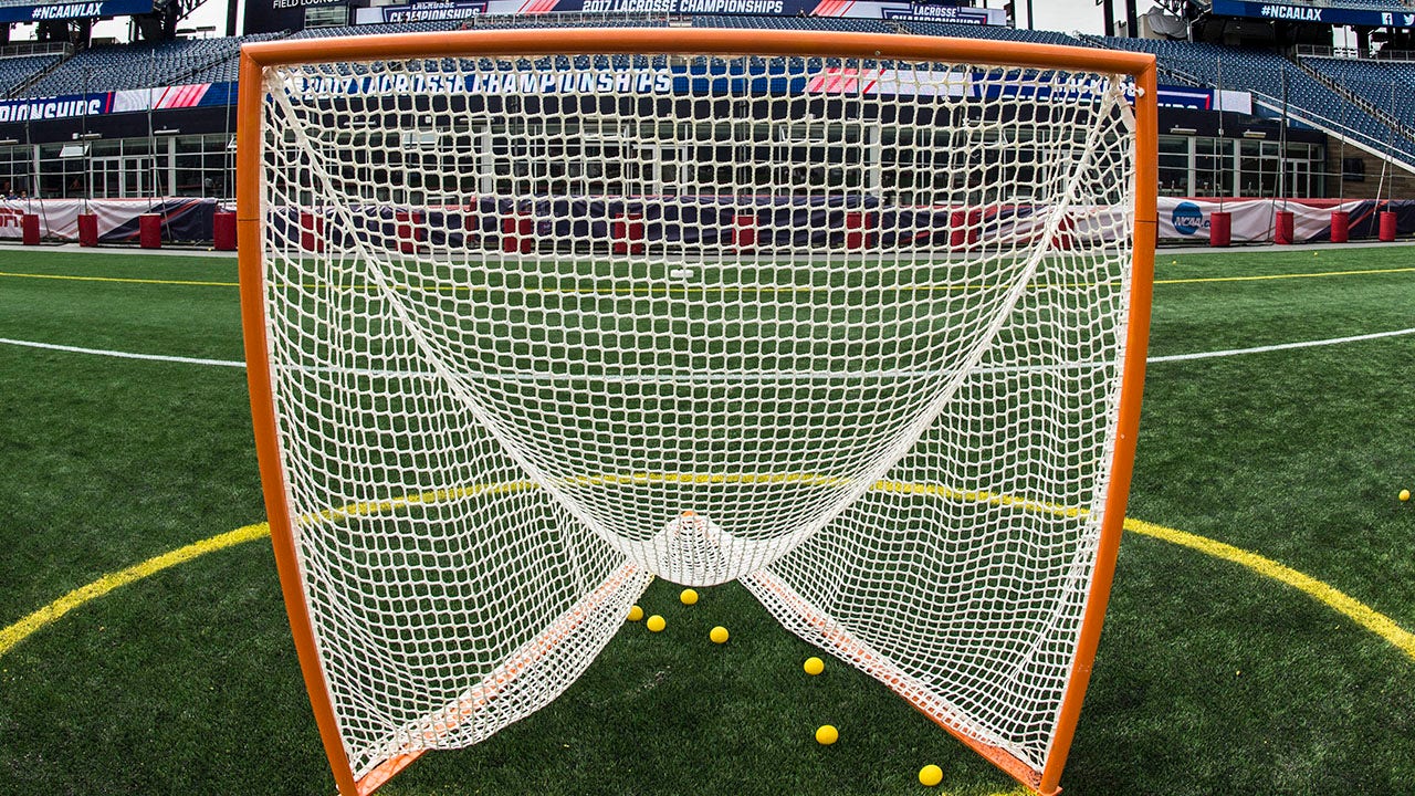 lacrosse net