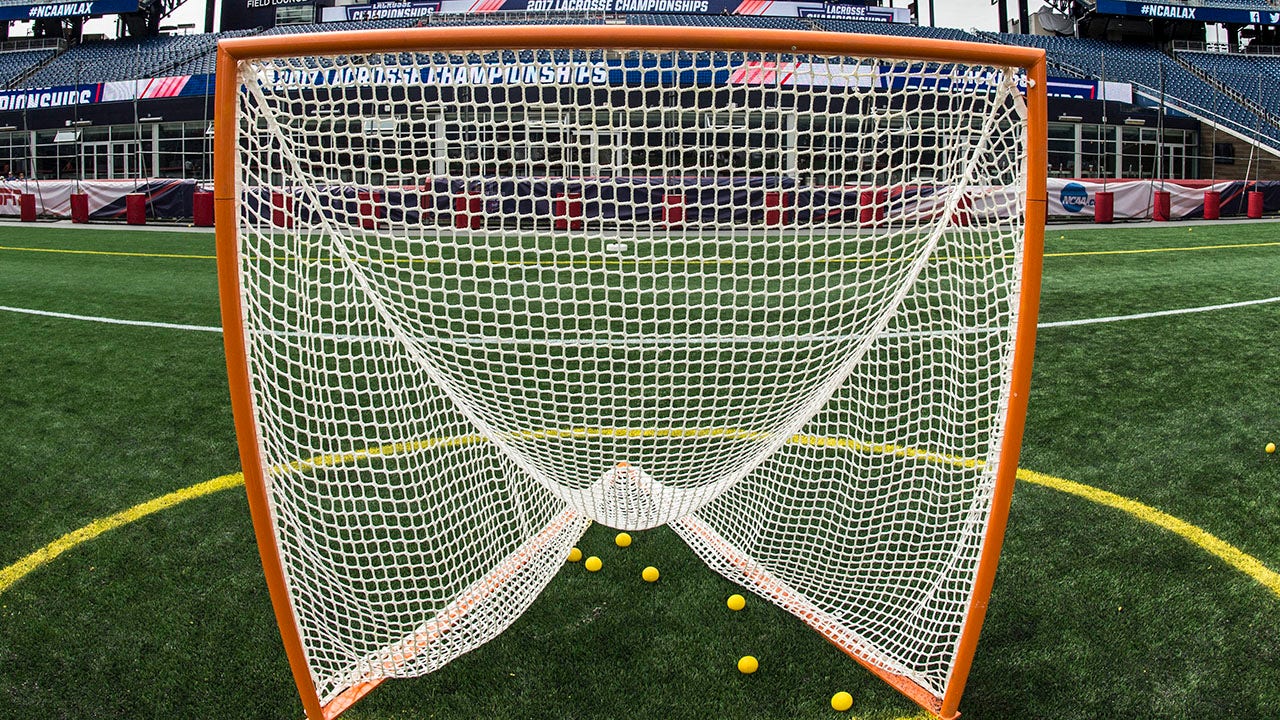 Lacrosse net