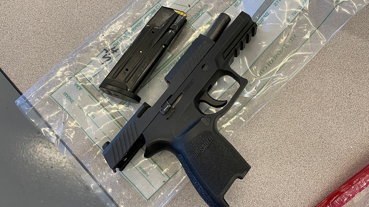 stolen handgun