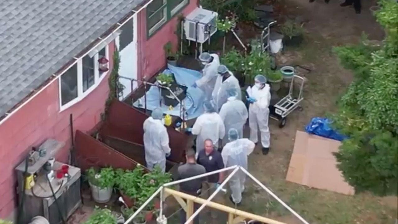 Police seen swarming basement at architect's ramshackle home in Gilgo Beach serial killer probe