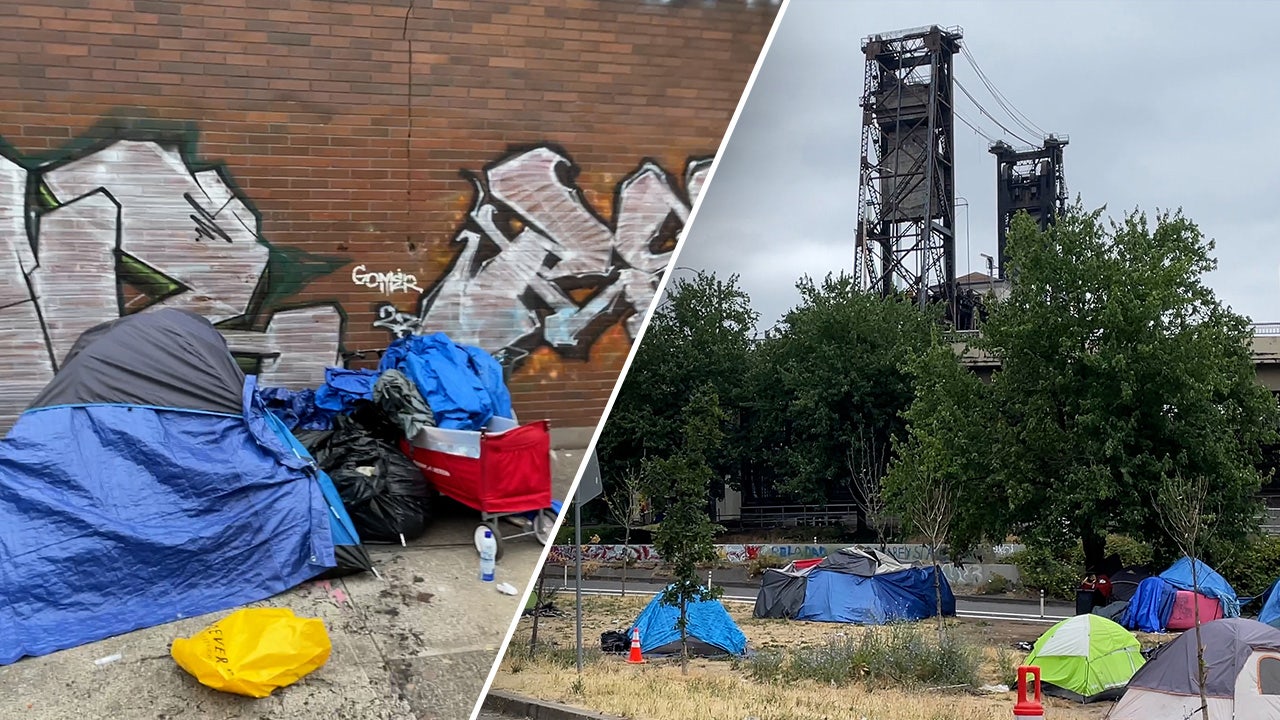 Homeless encampments remain in Portland, despite tent ban: 'It's bulls---'