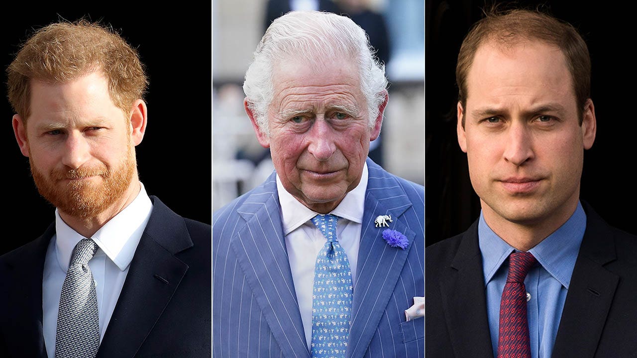 Prince Harry’s ‘Spare’ has royals wanting to avoid another ‘rage-filled’ memoir: expert