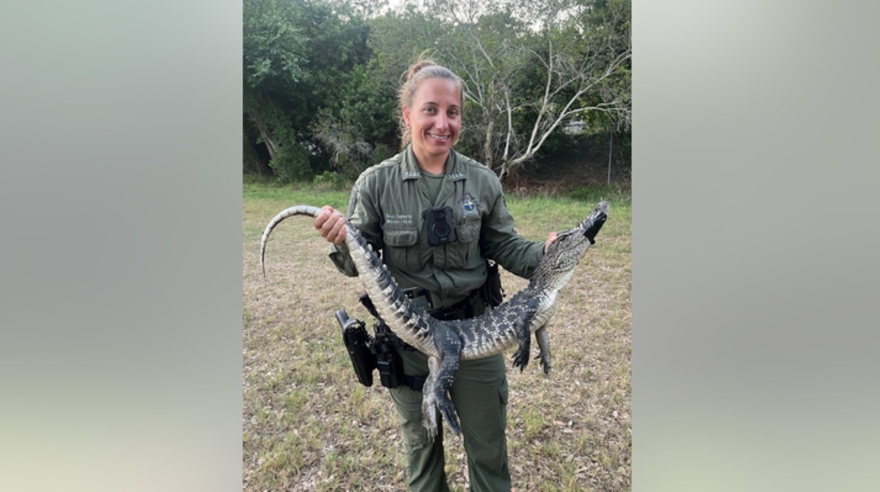 Florida driver hears strange noises under car, discovers alligator: ''Noped' right out of there'