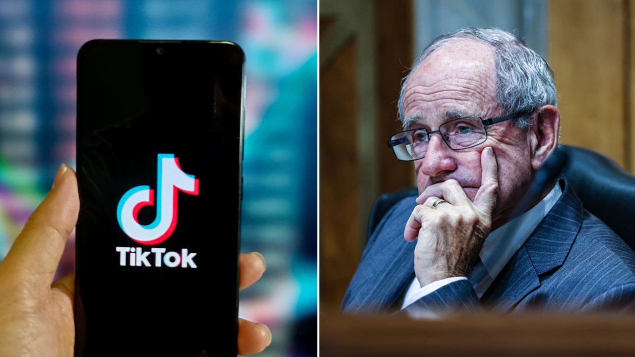 Jim Risch, TikTok