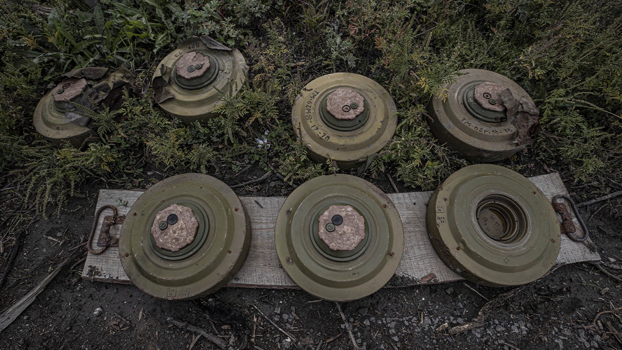 a photo of Russian landmines