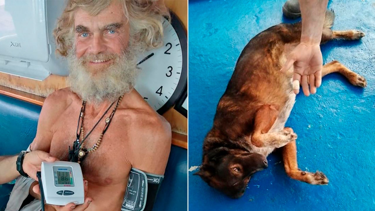 Australian sailor, dog survived 3 months adrift in Pacific Ocean by eating raw fish, drinking rainwater