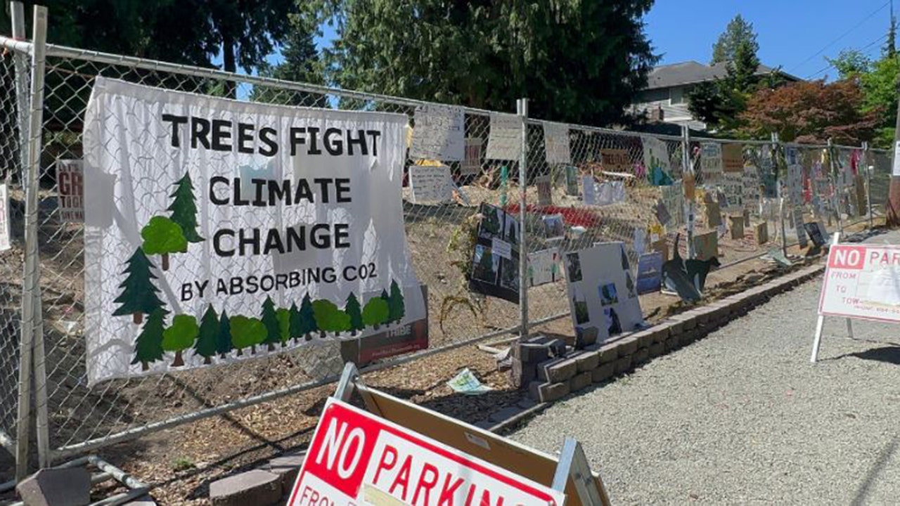 signs around empty lot