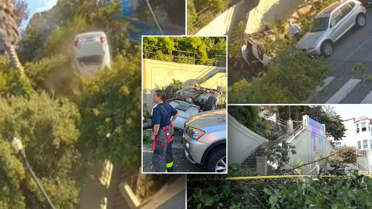 Car drives off public stairway in San Francisco, flips through air onto tree in wild video