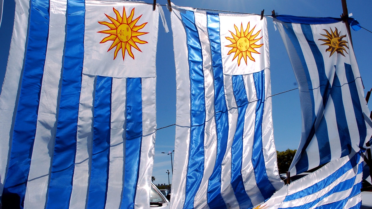 Uruguayische Flaggen