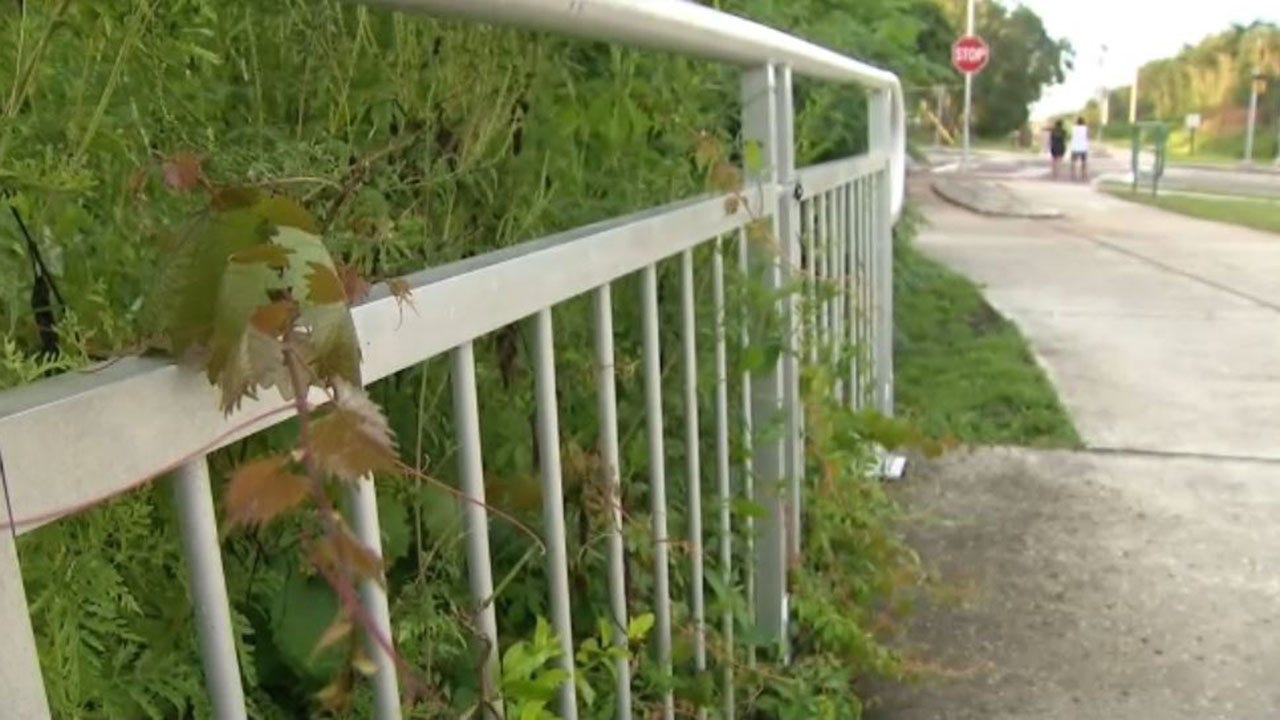 walking trail