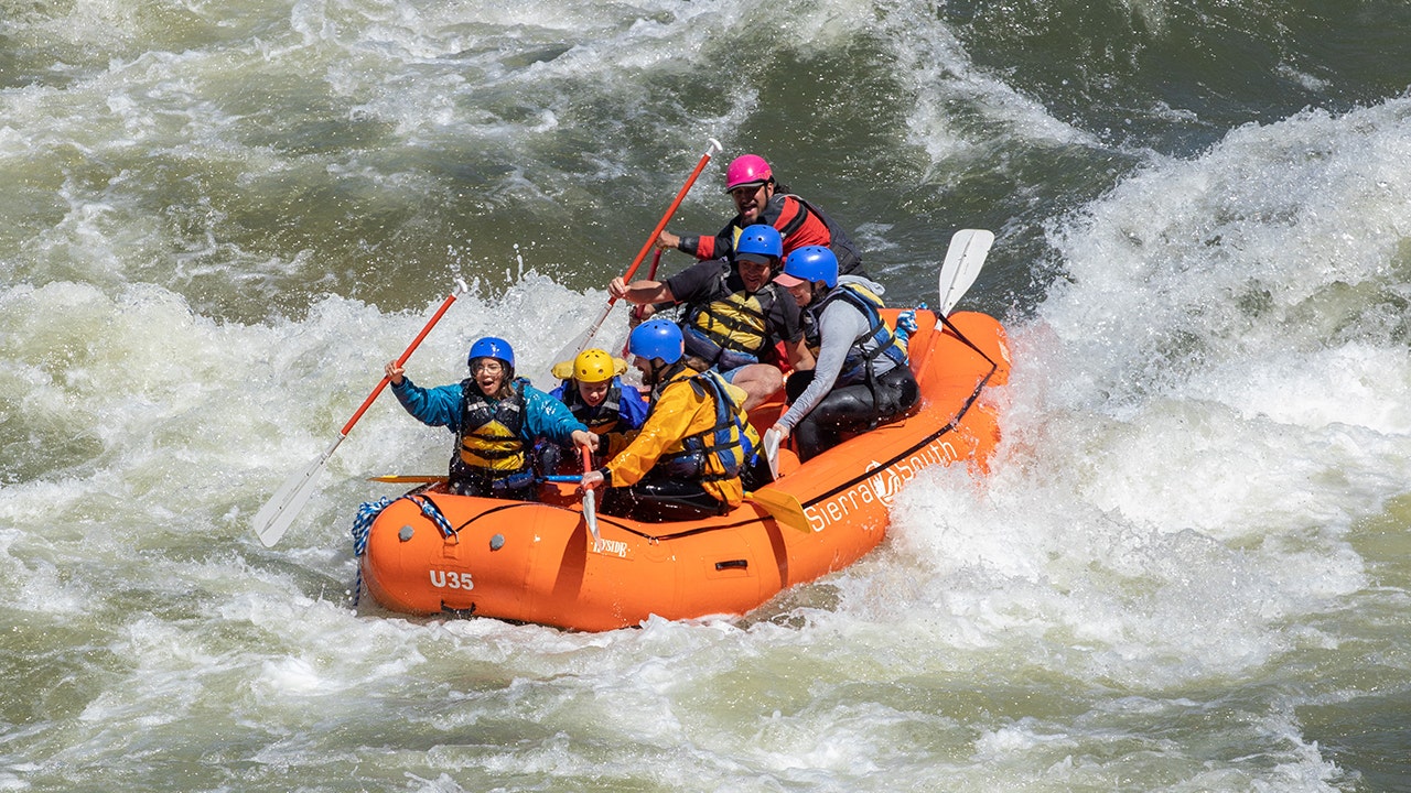 Summer activities that add thrill to the season: Jumping from 10K feet to swimming with sea life