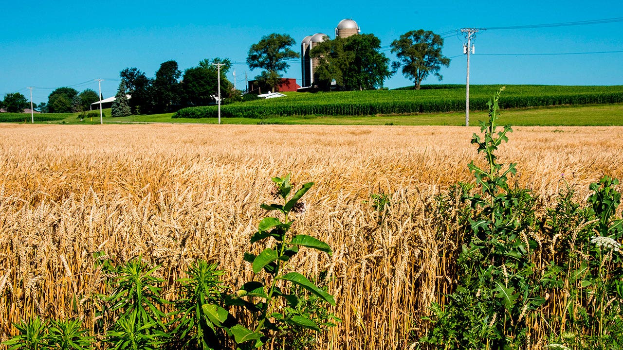 Facing 'rural rage' akin to 'fighting terrorism': former MSNBC host