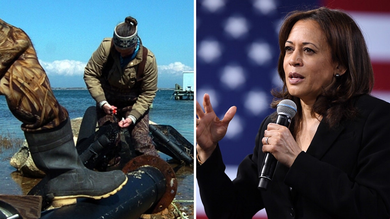Kamala Harris hosts big-ticket fundraiser on Martha’s Vineyard as high costs force workers, Natives to flee