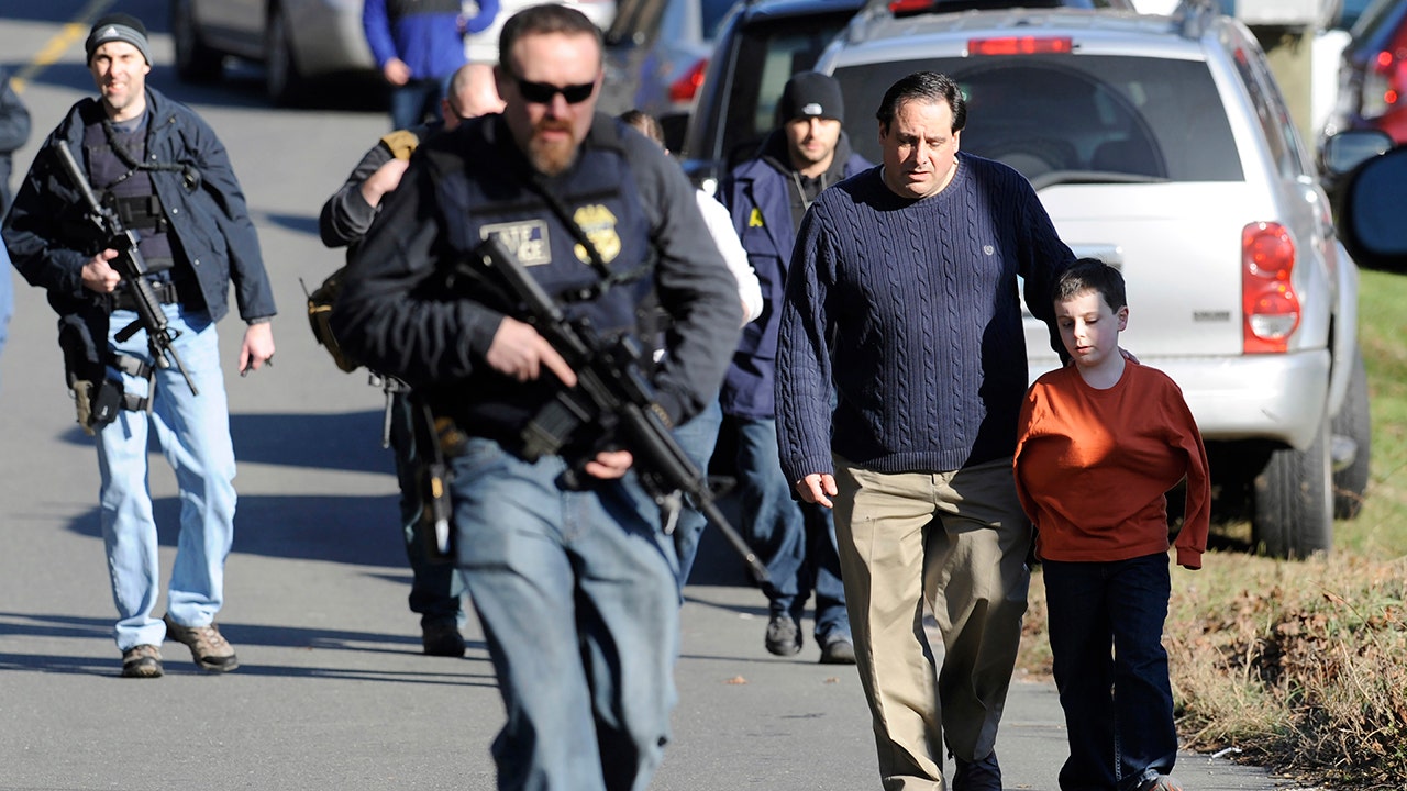 Judge rejects request to block 2013 Connecticut gun control law that was passed after Sandy Hook massacre