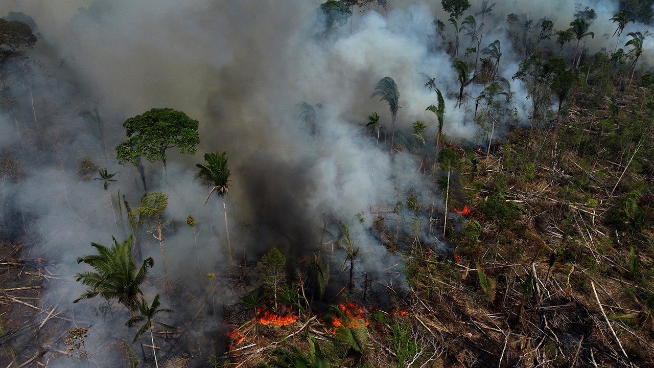 Governments gather to discuss strategies to protect Amazon rainforest: 'We are accelerating climate change'