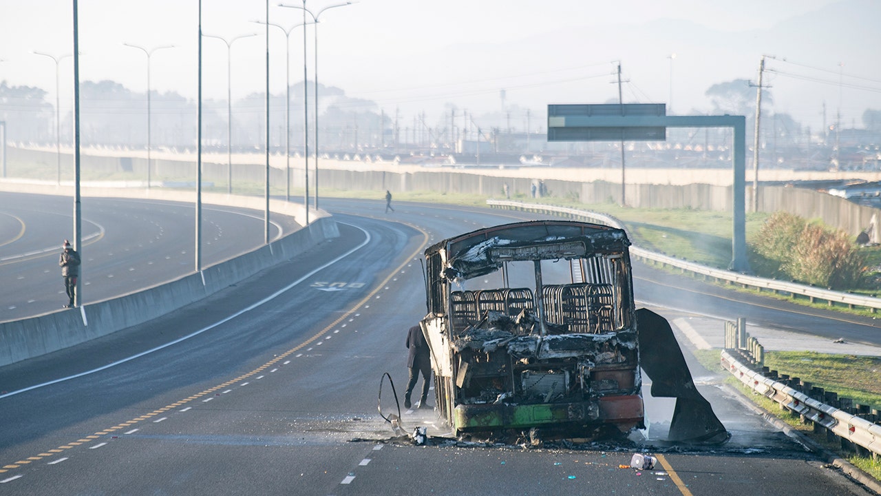 British man shot in head during violent protests in South Africa