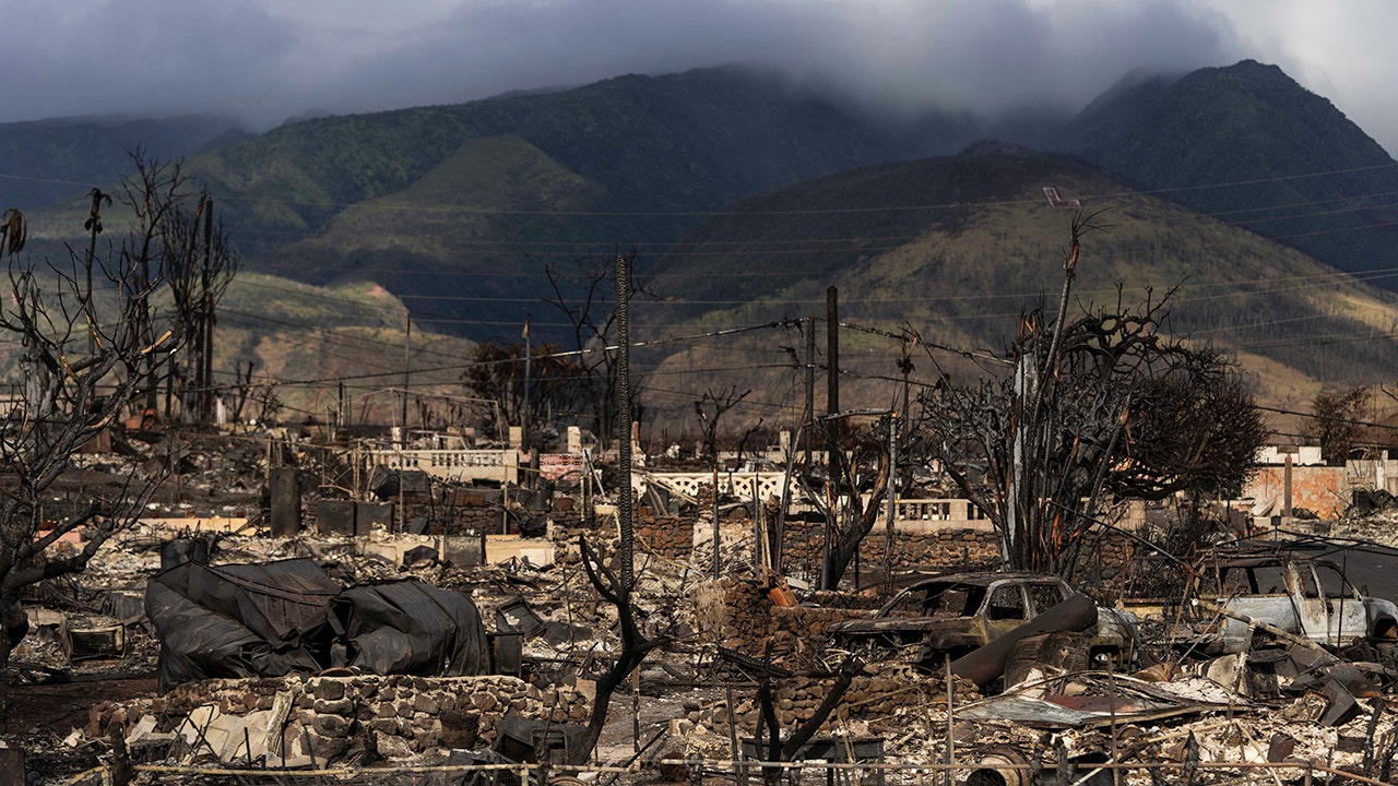 Hawaii's Maui horror reveals what happens when government is broken