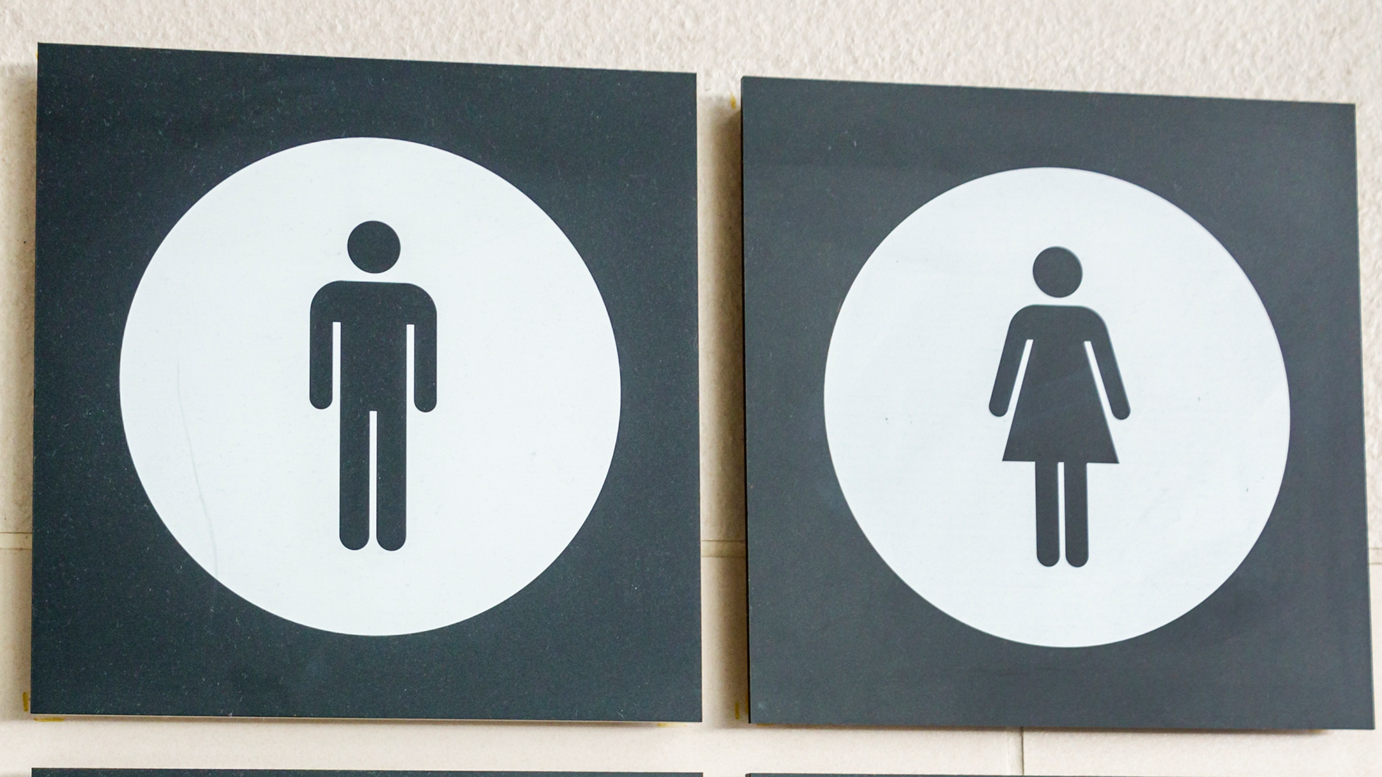 Florida university system proposes penalties for faculty who don't use restrooms according to biological sex