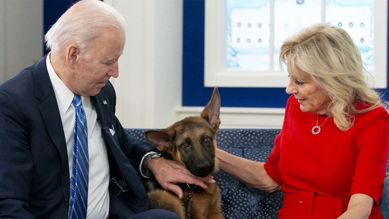 Politico chews out Bidens for their dogs biting WH staffers: 'Lousy,' 'entitled' behavior by the first family