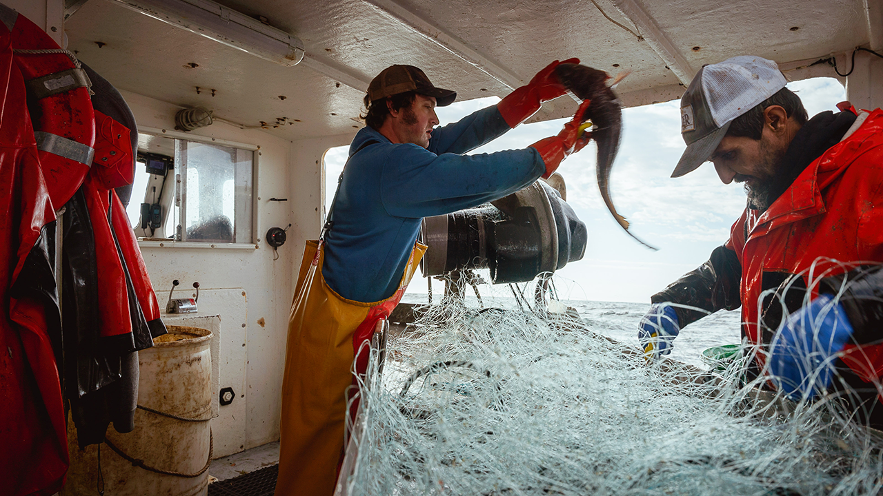 Commercial fishermen need more support for substance abuse and fatigue,  lawmakers say