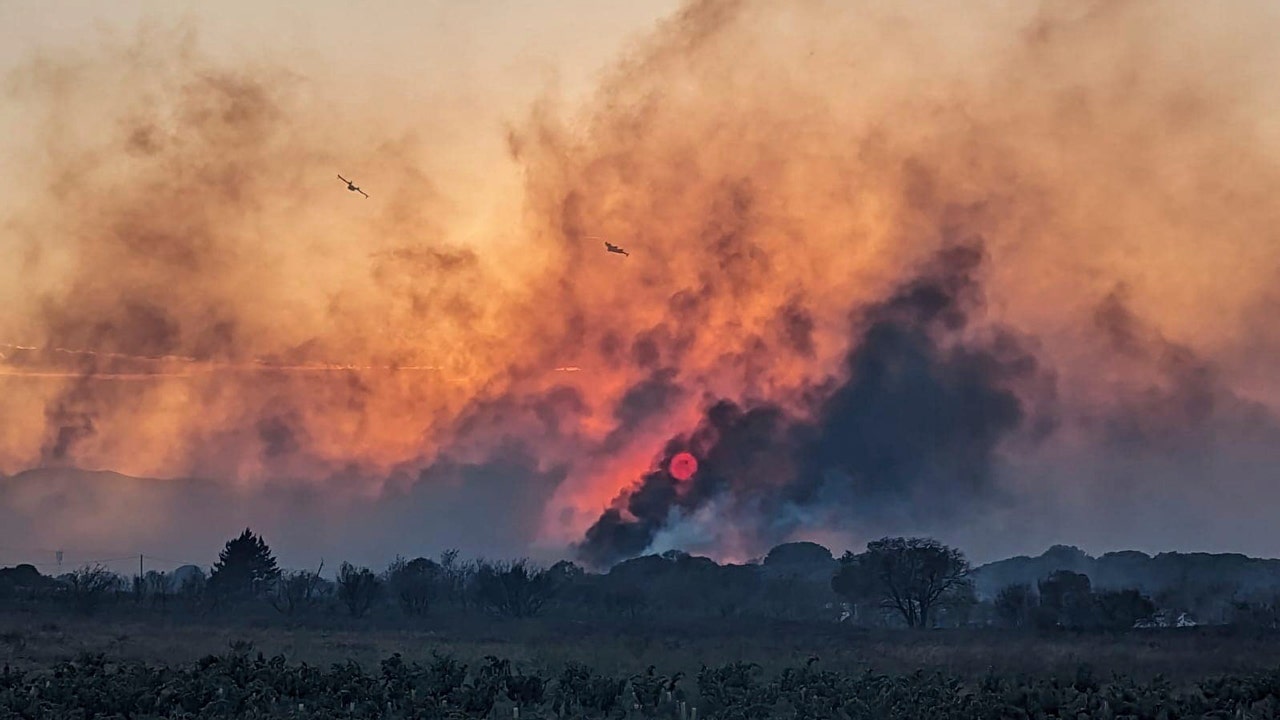 Wildfire near French seaside resort of Argeles-sur-Mer contained, vacationers begin returning to campsites