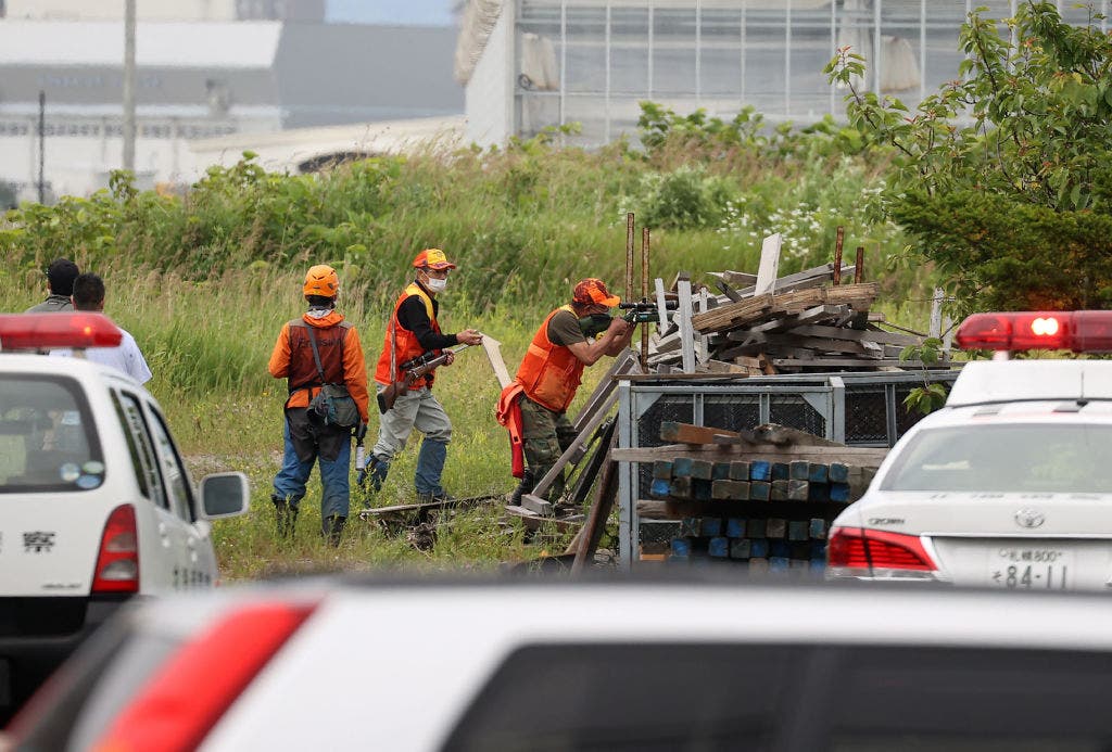 Hunters take out serial cow-killing ‘Ninja’ bear in Japan