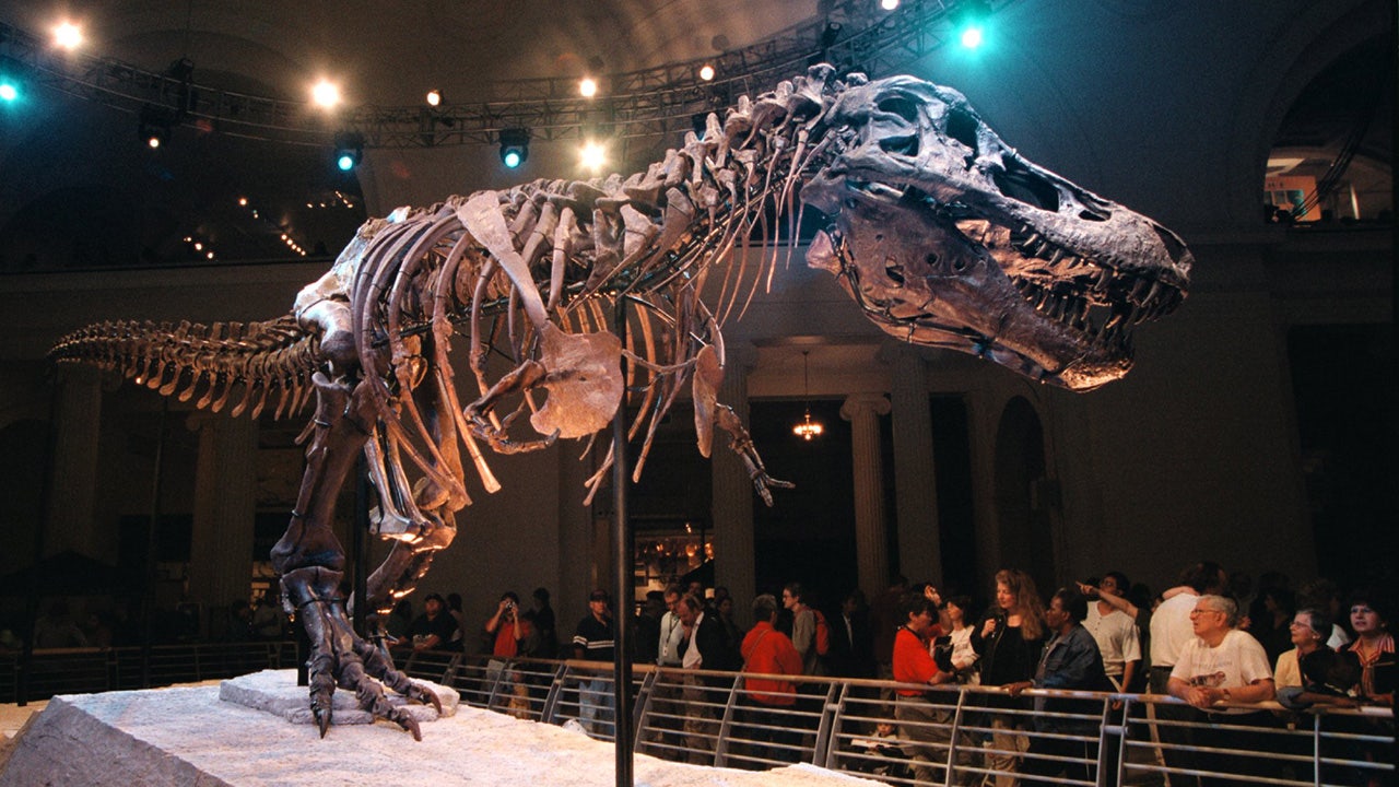 Dinosaurs may have been killed off by 'apocalyptic dust plume': study