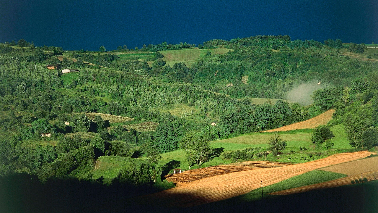 Italian police scour forest in search of Dutchman who was accused of fatally stabbing his father