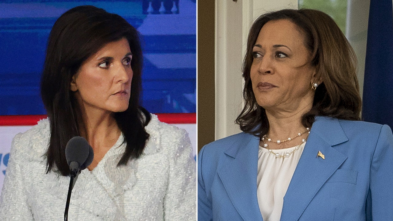 Nikki Haley hammers Kamala Harris' record: 'She has failed' at 'everything she's ever been given'