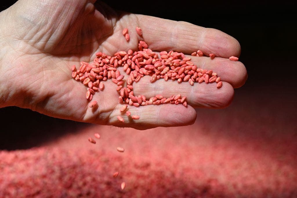 China doesn't just want our Silicon Valley secrets. China is coming for our seeds, too