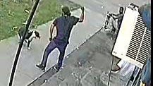 Syracuse police say man who killed pit bull in stabbing lied about being attacked by dog