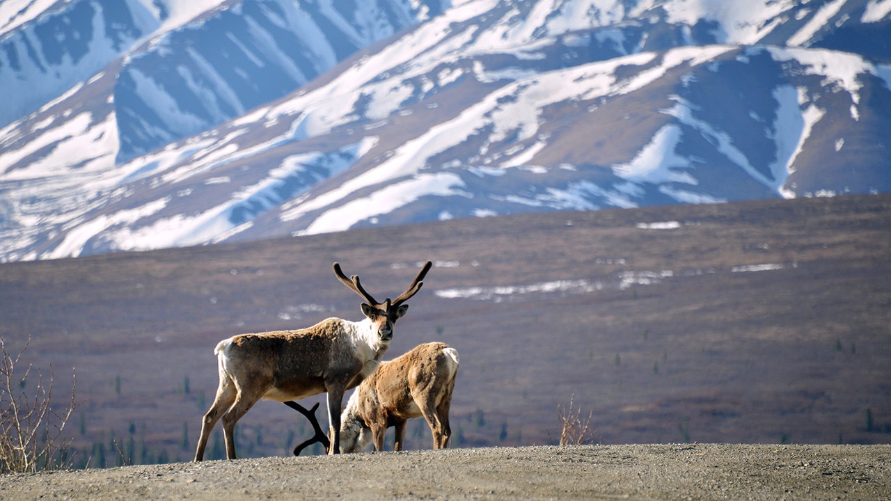 Vacationing in Alaska? Add these plans to your itinerary