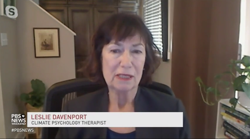 PBS interviews ‘climate psychology therapist’ about handling anxiety from climate change