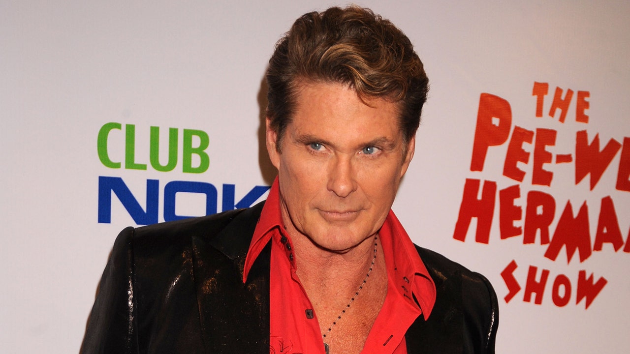 David Hasselhoff attends Pee-wee Heman show