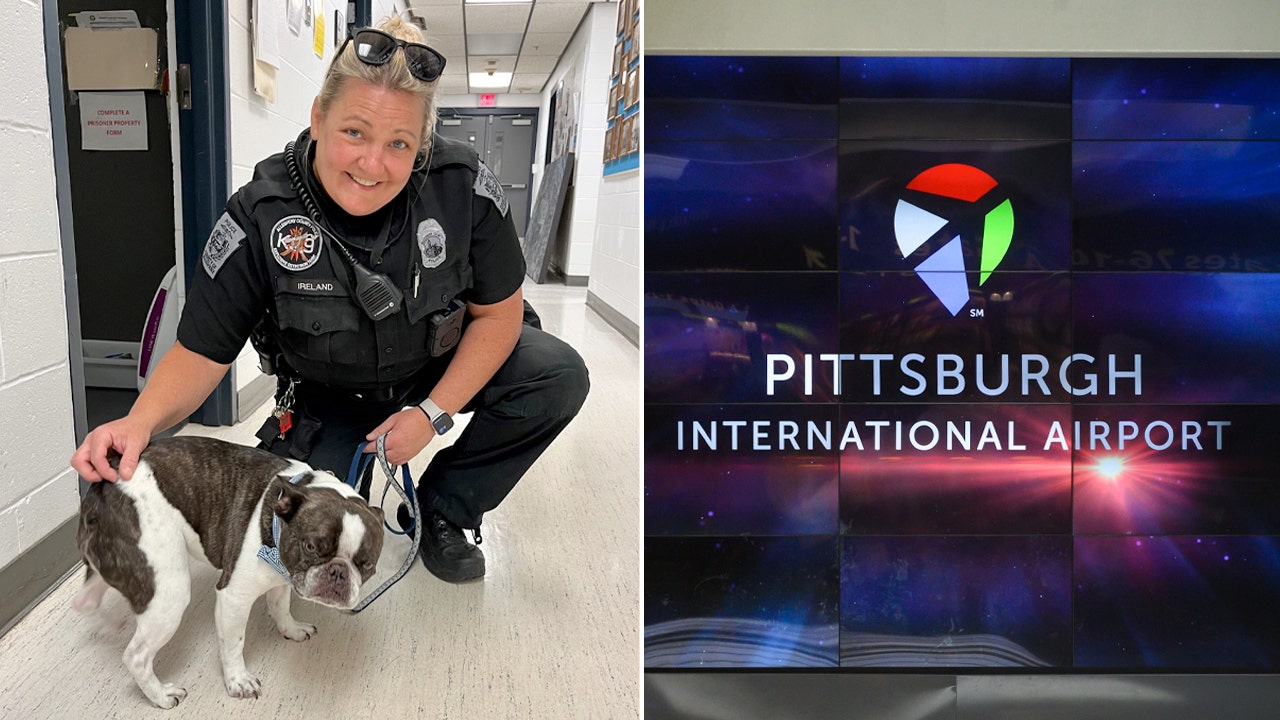 Police express shock and disbelief as owner abandons dog at airport in Pennsylvania