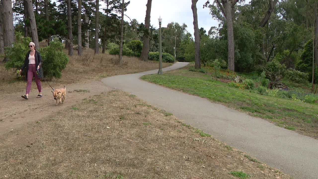 Body of San Francisco woman found in duffel bag at park near music festival