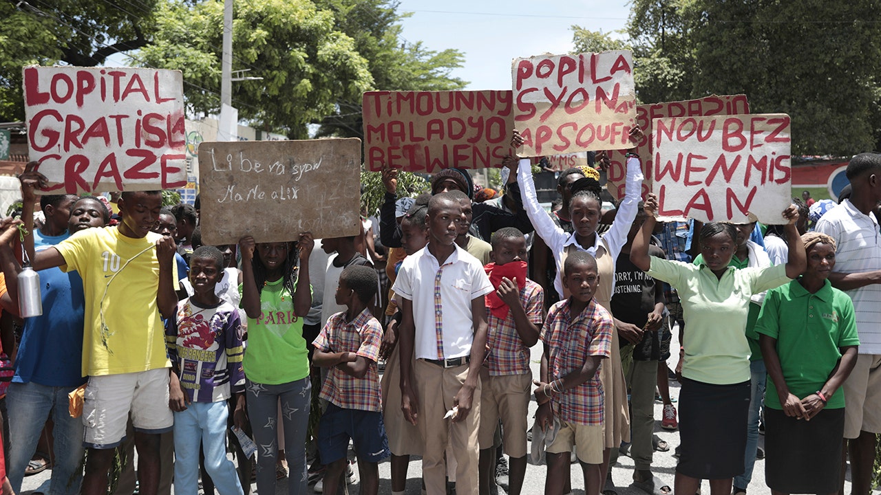 demonstrators with signs