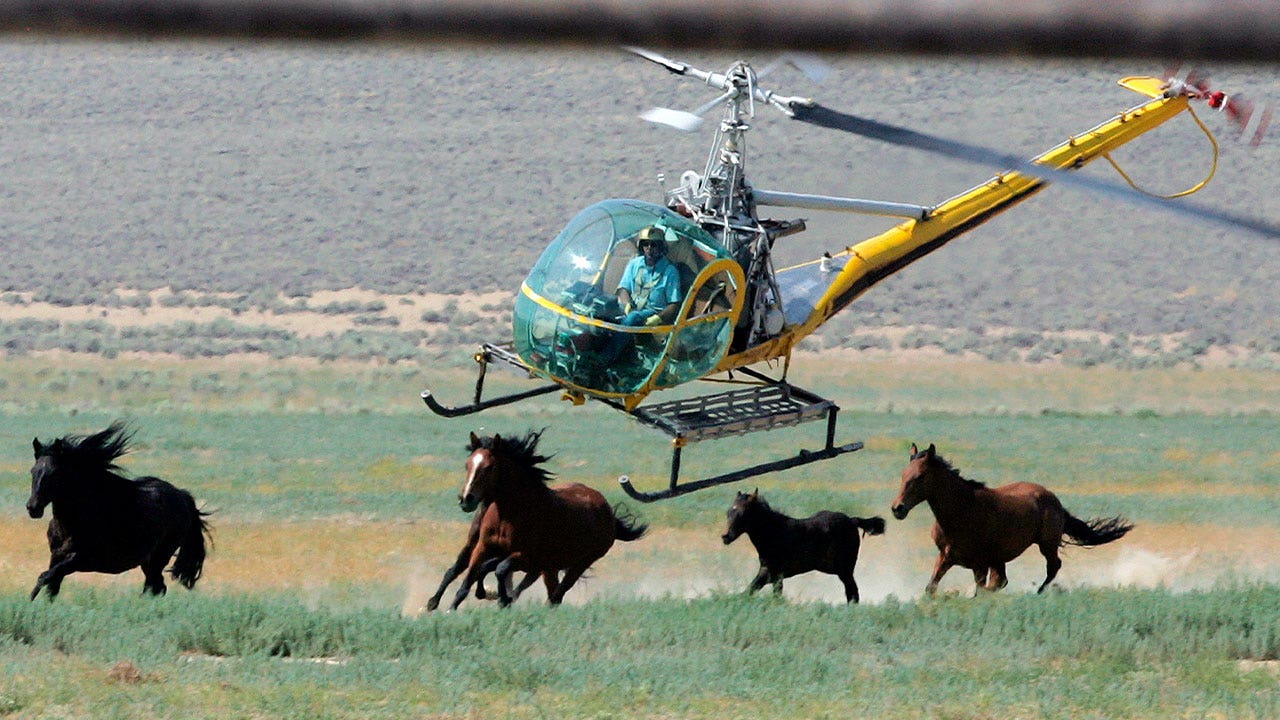 News :Judge allows US government to continue Nevada’s controversial wild horse roundup