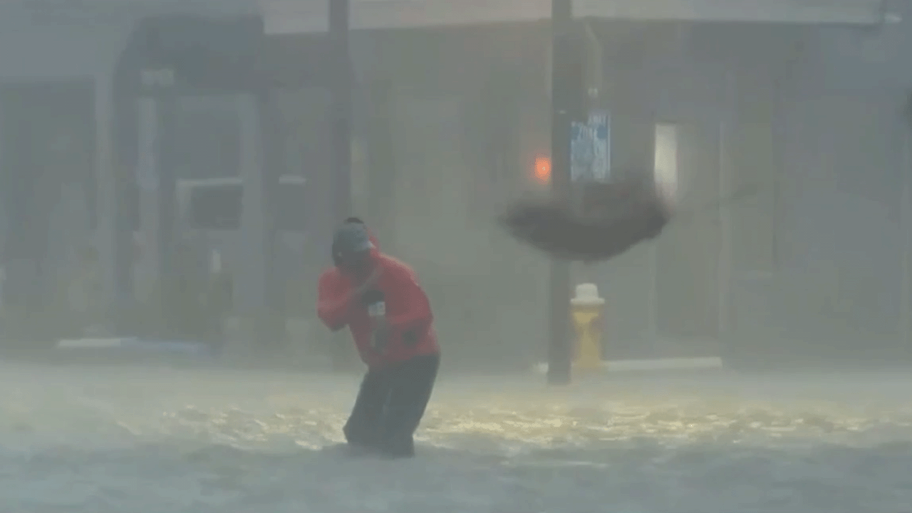 FOX Weather reporter caught in strong flood water dodges palm tree debris