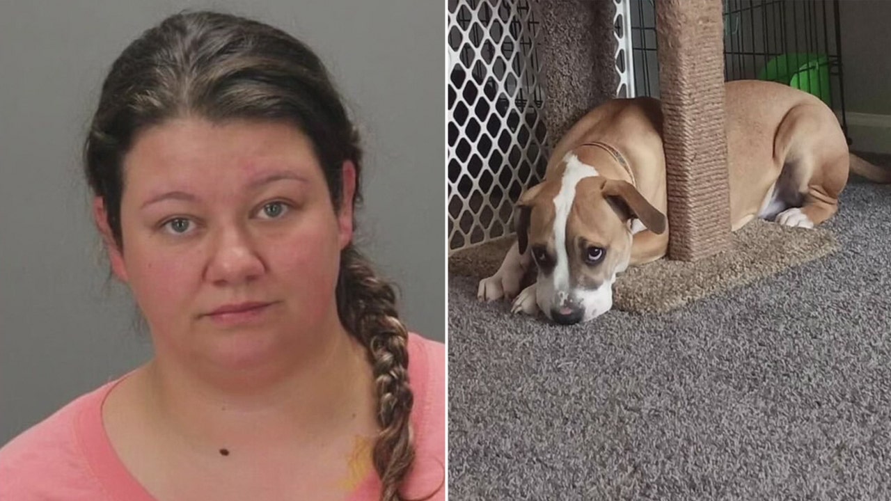 Dogladysex - Michigan woman charged with performing sex act on dog, caught by  ex-boyfriend